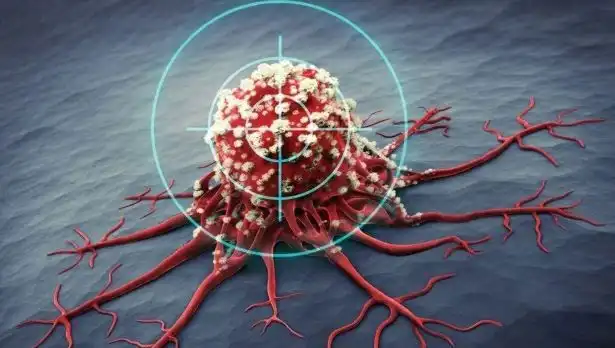 Prostat Kanseriyle Savaşan 6 Süper Besin: Bilimle Kanıtlandı