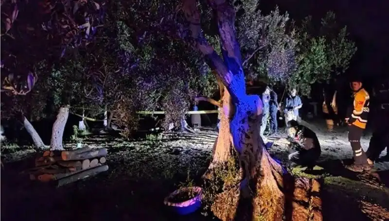 Çiftlikteki Baltalı Vahşet: Bir Tutuklama ve Savaşan Ailelerin Hikayesi