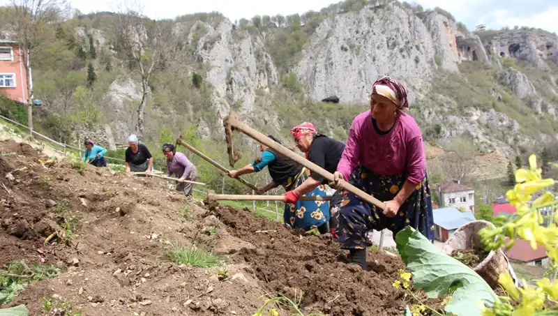 Zorlu Mesai: Çiftçiler Sırtlarında Sepetler, Ellerinde Kazmalarla Alanlarda