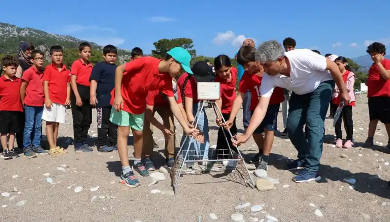 Kemer’de Caretta Caretta Koruma Yasakları: Denizdeki Tatilcileri Etkileyecek