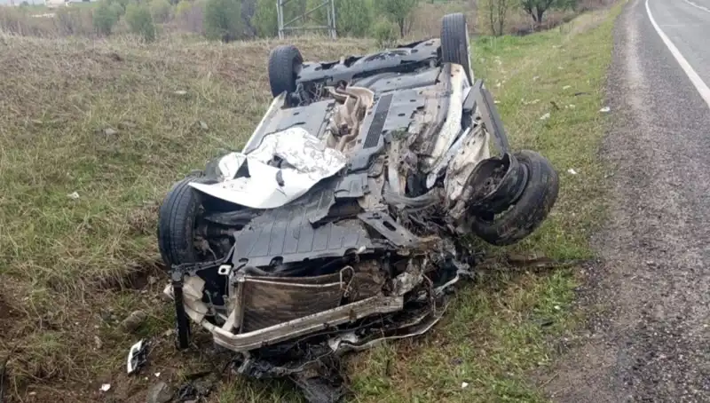 Domuz Yolda Seyir Halindeki Araçları Tehlikeye Attı: Ölüm ve Yaralar