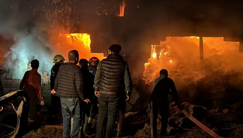 Bolu'da İhmal Sonucu Çıkan Ahır Yangını Bütün Şehirde Korku Yarattı
