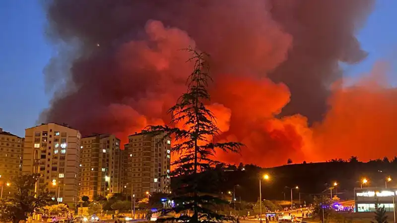 Bursa'da Yangınlar Şehri Sarmaladı: Kriz Yönetimi ve Son Durum