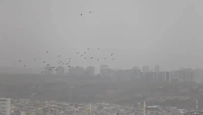 Şanlıurfa'da Görülmemiş Toz Fırtınası Şehir Hayatını Tehdit Ediyor