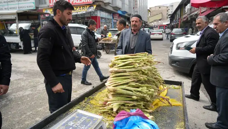 Sağlığa Faydalarıyla Bilinen Şeker, Doğa Harikası Dağlardan Geliyor!