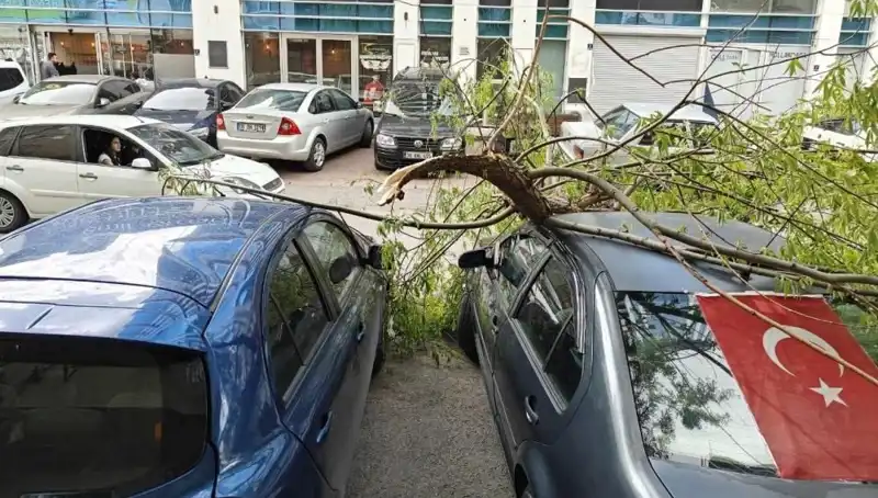 Kayseri'yi Sarsan Dalları Kıran Fırtına: Şehirdeki Etkileri Neler?