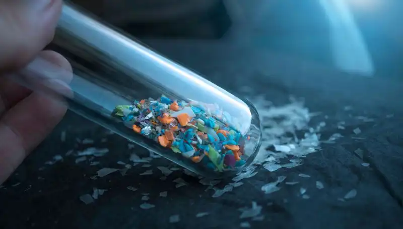 Mikroplastikler Beynimizde: Bilim Dünyası Yeni Tehditler Keşfediyor!