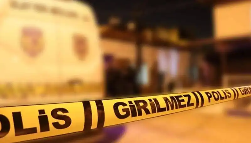 Diyarbakır'da Kayınpederin Dehşet Anları: Aile İlişkilerinde Çirkin Bir Yüzleşme