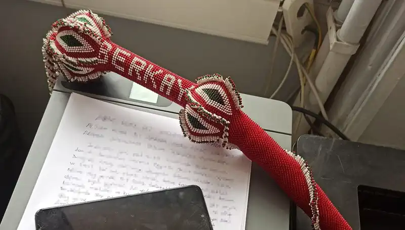 Kırbaçlı Saldırganların Pençesinden Kaçış: Ölümü Göze Alan Cesur Yürek