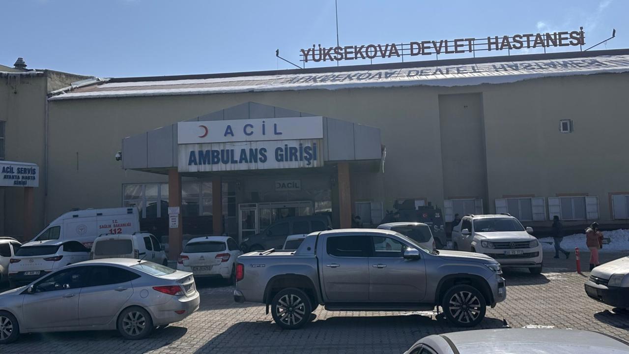 Müfettiş, Başıboş Köpeklerin Saldırısıyla Ölen Çocuk Olayını Araştıracak