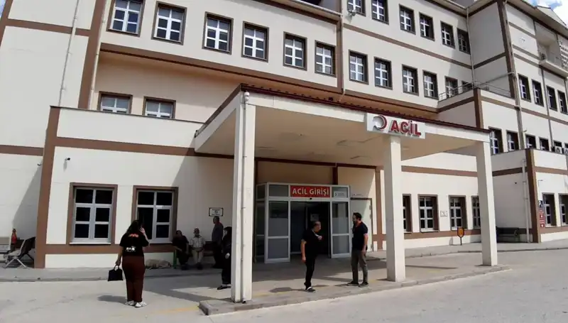 Bolu’da Ayı Avı Tartışmaları: Doğa Koruma ve Geleneksel Avcılık Arasındaki Denge