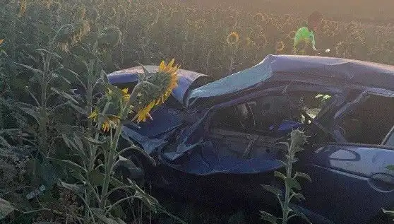 Otomobil Ayçiçeği Tarlasına Devrildi: Kaza Sonrası Yaralılar ve Korkutan Detaylar
