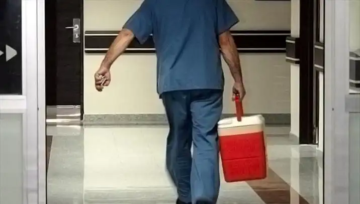 Organ Bağışında Yeni Dönem: e-Devlet ve e-Nabız ile Kolaylaştırılan Süreç