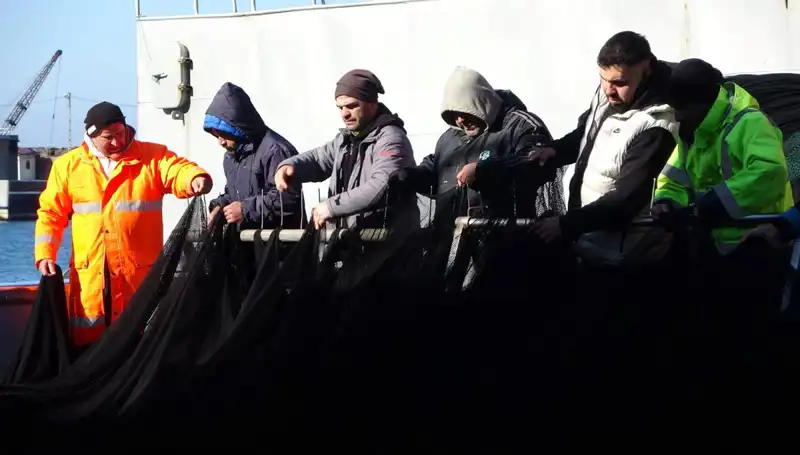 Hamsi Avında Son Dönem: Tekneler Neden Erken Dönüş Yapıyor?