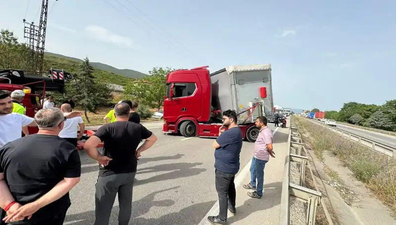 Seyir Halindeki Araçta Talihsiz Kaza: Arı Soktu, Trafik Durma Noktasına Geldi
