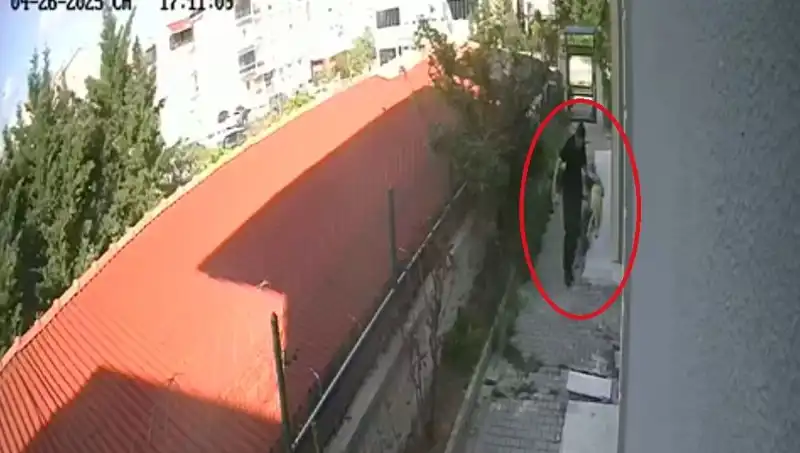 Veteriner Doktorun Şok Eden Eylemi: Evdeki Köpekleri Parçaladı ve Tutuklandı!
