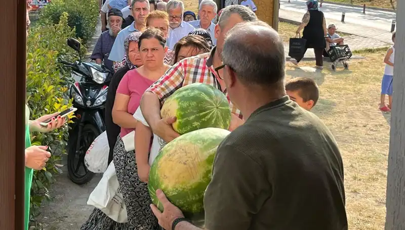 Hasat Zamanı: Tarlada Kalan Ürünler Bedava Dağıtılıyor!