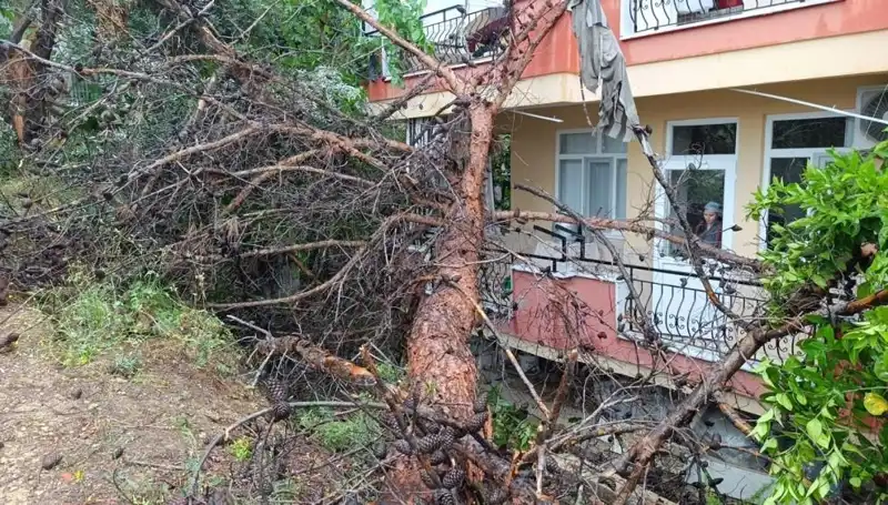 Yağmurun Ardından Gelen Felaket: Bina Devrildi!