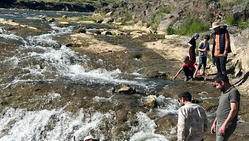 İnci Kefali Göçü: Doğanın Eşsiz Gösterisi 2023'te Turistleri Büyülüyor