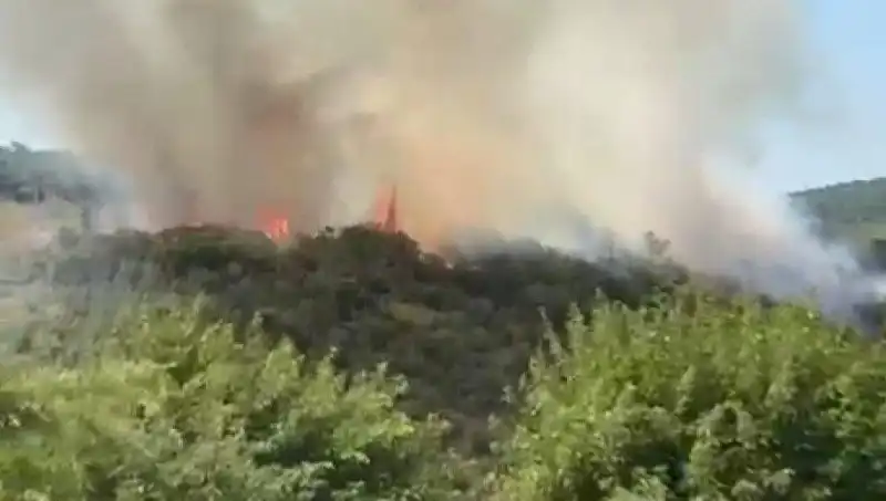 İstanbul'da Orman Yangınında Acil Tahliye ve İlgili Önlemler Alındı