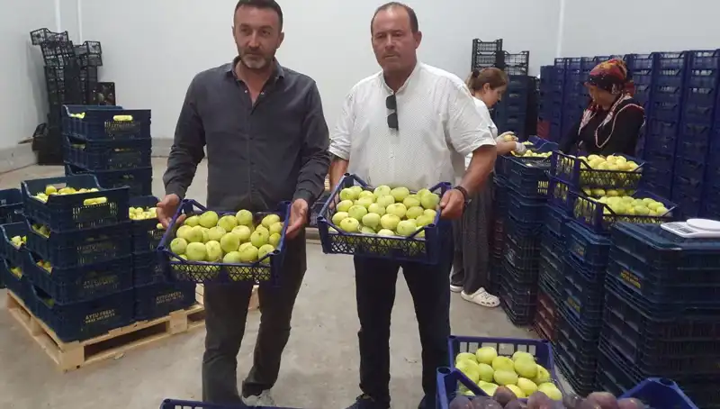 Mersinli Çiftçilerin Yüzü Güldü: İhraç Edilen Ürünler 20 TL'den Satılıyor!