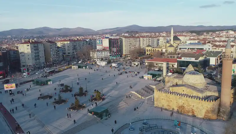 Kırşehir'de Keşfedilen Yeni Böcek Türü Bilim Dünyasını Heyecanlandırdı!