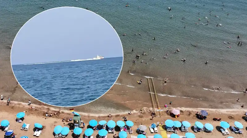 Plajda Köpek Balığı Korkusu: Sahil Boşaltıldı, Gerçek Farklı Çıktı