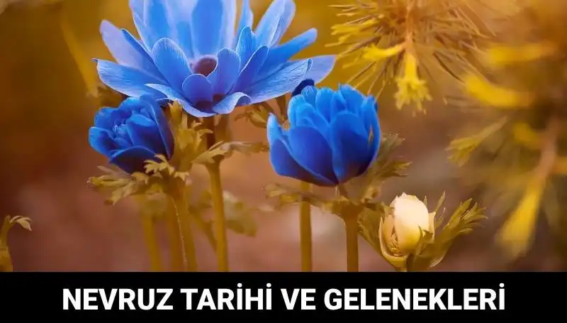 Nevruz Bayramı: Gelenekler, Kutlamalar ve Merak Edilenler
