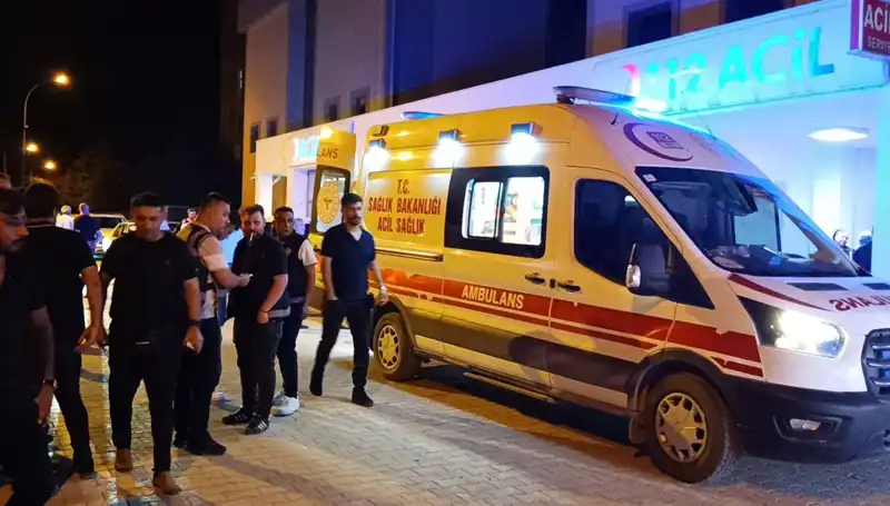 Kardeş Kavgasını Ayırmaya Çalıştı, Fecaatla Sonuçlandı