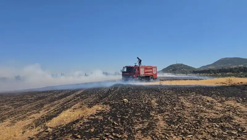 Gaziantep’te Korkutan Anız Yangını: Canlılarla Doğa Tehlikede