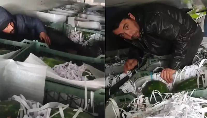 Karpuz Arasından Göçmenler Çıktı: Sınırda Şok Gelişme