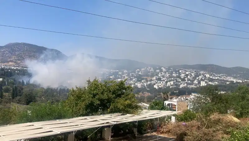 Muğla Orman Yangınlarında Son Durum: Kontrol Altına Alındı mı?