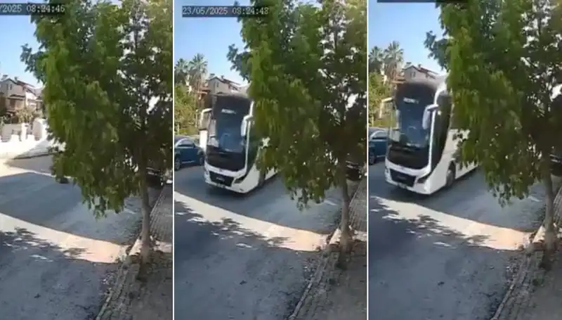 Yolda Yatan Köpeği Ezip Giden Sürücü İnanılmaz Olayı Anlattı