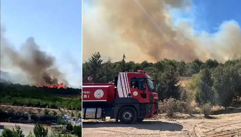 Gebze'de Yangın Paniği: Orman Alev Alev, Ekipler Müdahale Ediyor