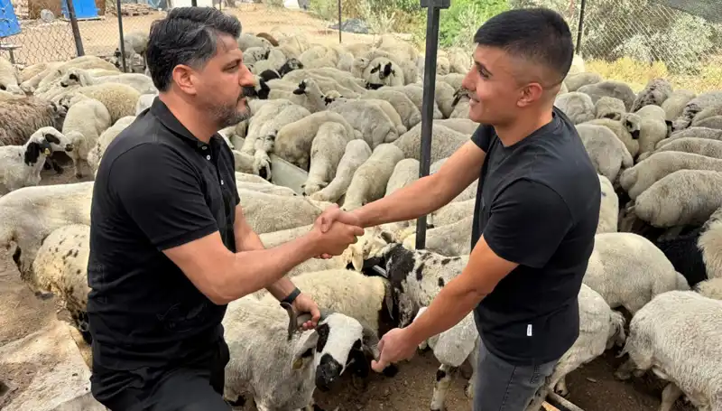 Tuz ve Sumak Kullanımı Kurbanlık Seçiminde Dikkat Edilmesi Gereken Kriterler