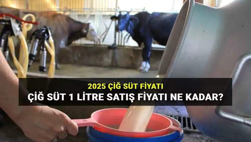 2025'te Çiğ Süt Ücretleri: Ulusal Süt Konseyi’nden Son Duyurular