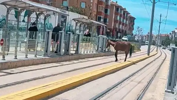 Eskişehir Tramvay Raylarında Başına Bu İnanılmaz Olay Geldi!