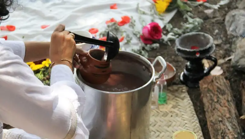 Ayahuasca: Şifalı Çay mı, Tehlikeli Bir Madde mi?