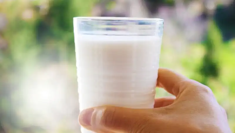Süt Tüketimi Şişkinliğe Neden Olur mu? Uzman Görüşüyle Bilgi Edinin