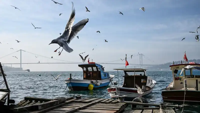 İstanbul'da Bahar Havası Geliyor: Tarih Belli Oldu!