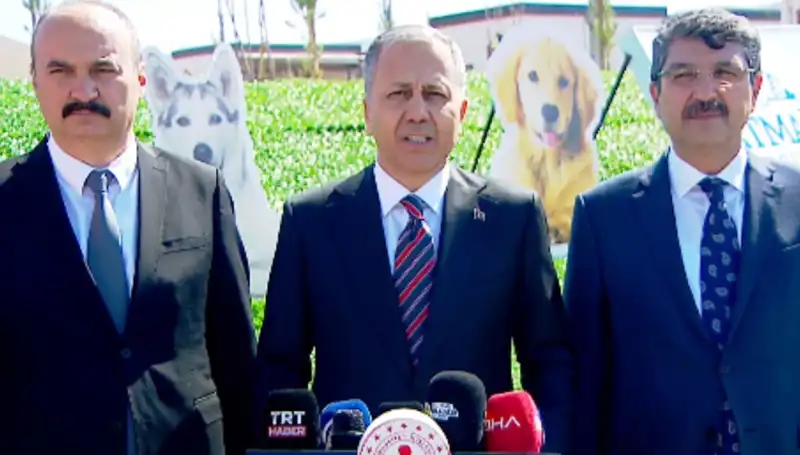 Sokak Köpekleri Tartışması: İçişleri Bakanlığı 81 İle Müfettiş Gönderdi, Neden Bu Kadar Önemli?
