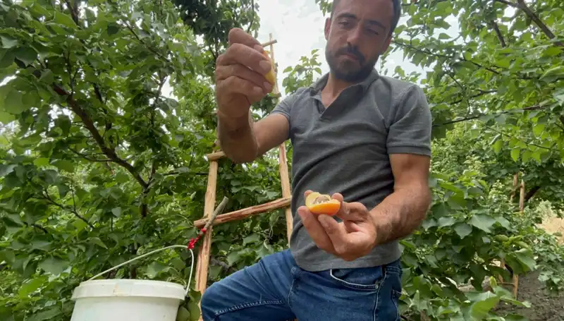 Tadı Damağınızda Kalacak: 50-70 TL Aralığında Satılan Eşsiz Lezzet