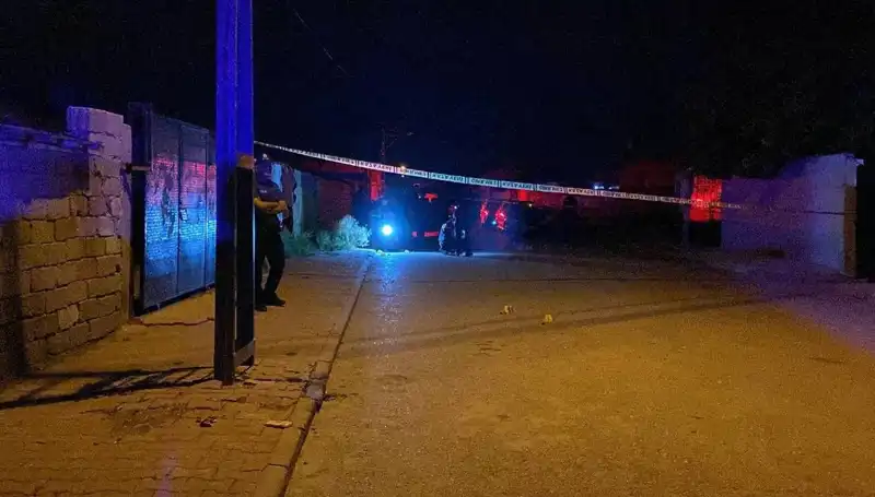 Kuma Getirme Kavgası: Sıcak Gelişmeler ve Şoke Edici Sonuçlar