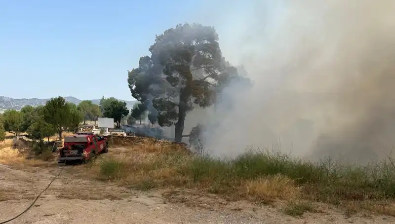 Muğla'da Yangın Alarmı: Ormanlar Tehlikede, Müdahale Başladı