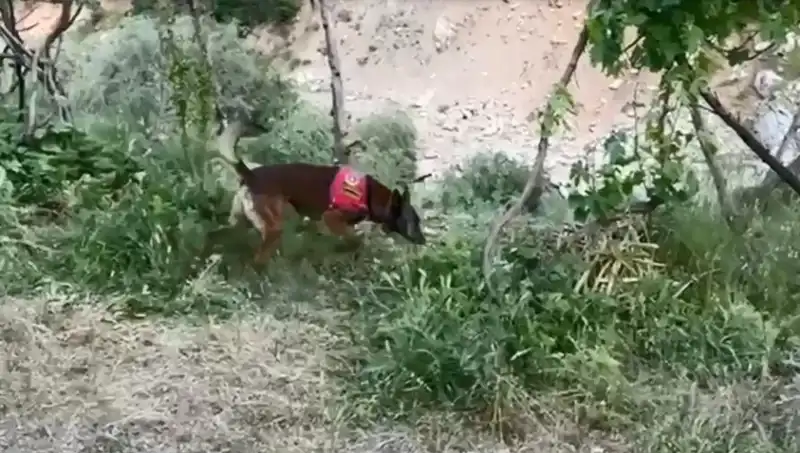 Dere Kenarındaki Gizemli Esrar, Dedektör Köpekle Ortaya Çıktı