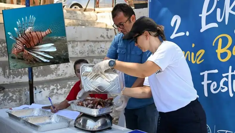 Antalya'da İstilacı Aslan Balığı Avlama Yarışması: Eğlence ve Bilinçli Avcılık Buluşuyor