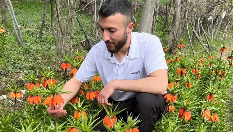 Ağlayan Gelin Çiçeği: Koparmanın Cezası 244 Bin Lira!