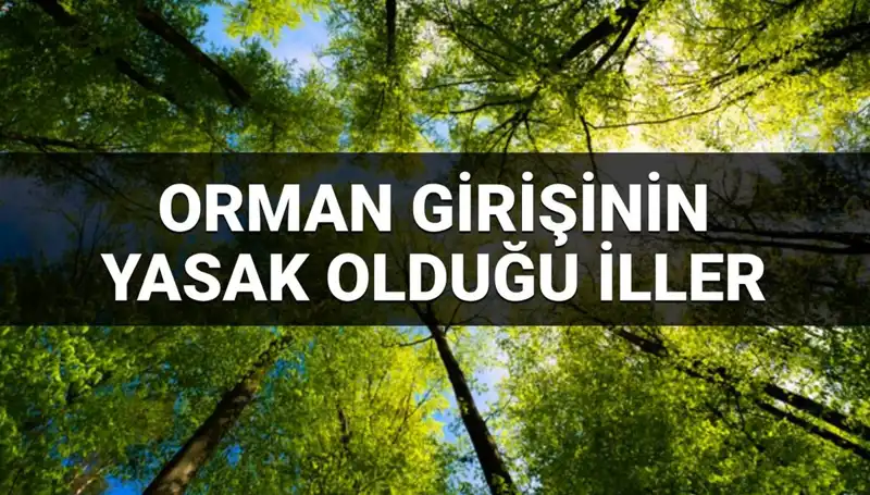 2025'te Orman Girişine Yasaklanan İller Açıklandı! Hangi İllerde Geçerli?