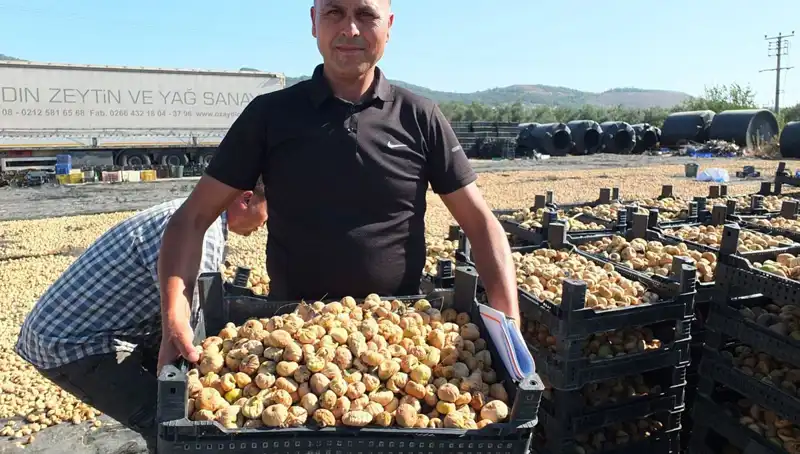 Balıkesir’de Tarım Devrimi: Çin ve Rusya’ya İhraç Başladı!